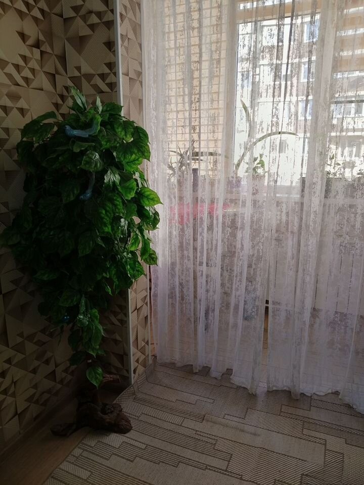 2-комн. квартира
