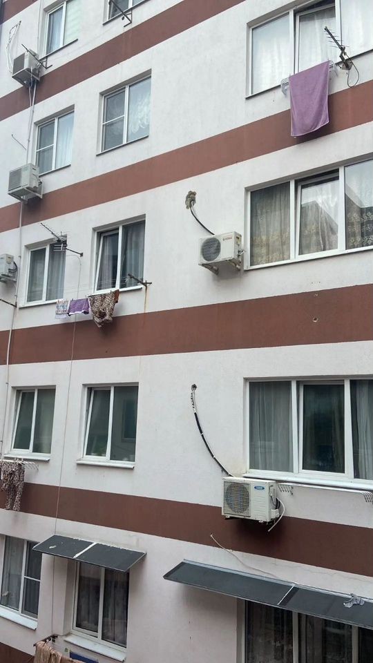 1-комн. квартира